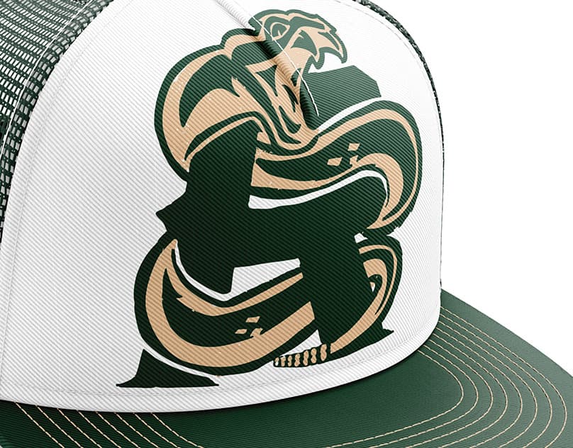 Saskatchewan Rattlers Swag Design